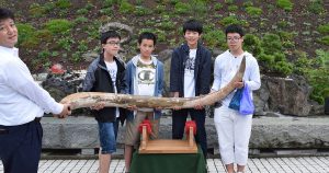 修学旅行、マンモス象牙持ち上げ体験